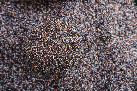 Organic raw berry rice for healthの写真素材