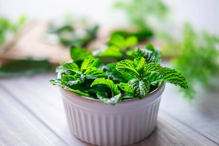 Fresh mint herbs in a white bowlの写真素材