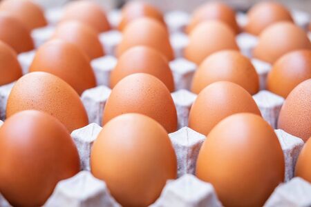 A close up of raw chicken eggs in egg panelsの写真素材