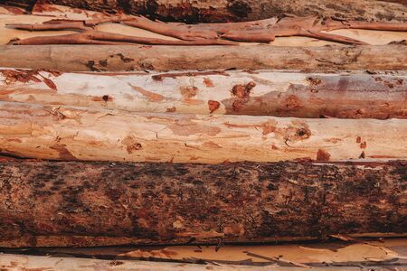 Background Timber and nature