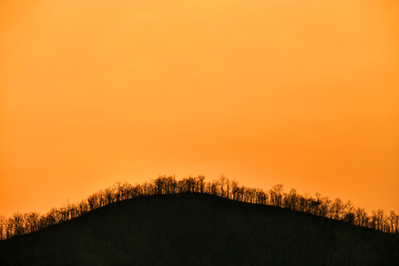 Silhouette of Mountains covered with trees on Yellow Sunrise Backgroundの写真素材