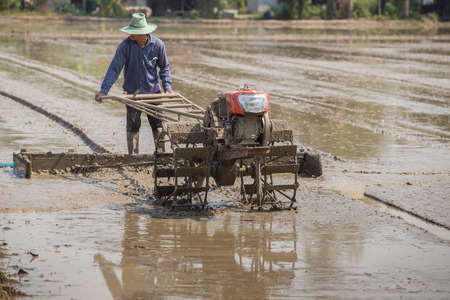 Thai Farmer plowman using tiller tractor  in rice fieldの写真素材