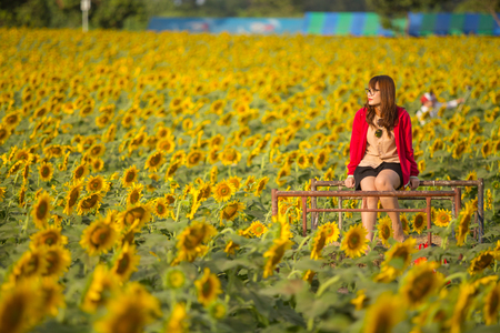 A portrait of beautiful asian woman on blooming sunflower field in summerの写真素材