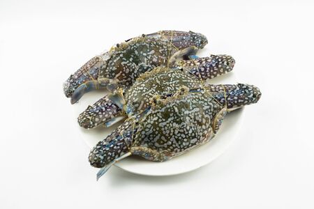 Blue crab isolated on white backgroundの写真素材