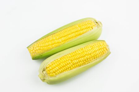 Two Fresh corn isolated on white backgroundの写真素材