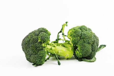 Fresh broccoli isolated on white backgroundの写真素材