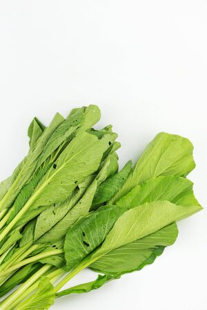 bundle bog choy isolated on white backgroundの写真素材