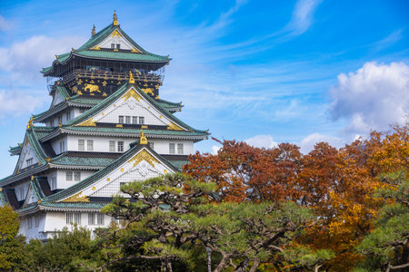 Landscape view of Osaka Castle main keep during autumn season at Osaka ,Japanの写真素材
