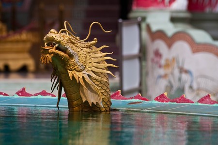 dragon fishの写真素材