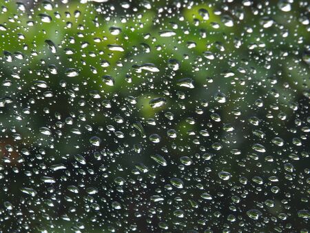 Spherical raindrops on a glass with green leaves background imageの写真素材
