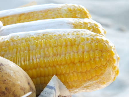 Yellow corn wrapped in clear plasticの写真素材