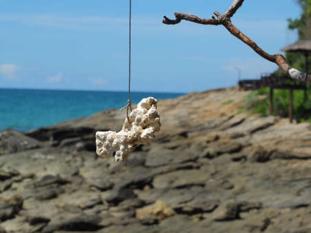 The white coral has black rocks, the sky and the sea on the back.の写真素材