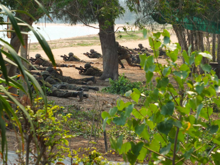 Chonburi, Thailand, February 25, 2020, photo of a military forest field weapon drills.のeditorial素材