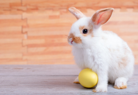 Little adorable bunny rabbit with yellow easter egg stay on gray table with brown wood pattern as backgroundの写真素材