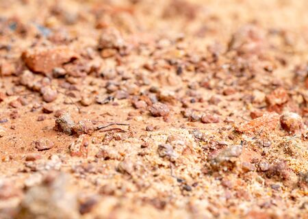 Close up view of brown wet soil contain several minerals and it is source of food for many wild life and insect in the forest.の写真素材
