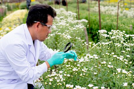Asian scientist man with white lab gown analysis and record the data of white and multicolor flowers in the garden during day time.の写真素材