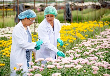 Two scientist women work together in experimental field of flower garden, one woman check the product and the other one record those result data.の写真素材
