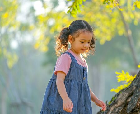 Young Asian little girl play alone in the garden with morning light.の写真素材
