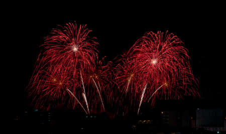 Fireworks with different color and pattern for celebration in various event including new year,...