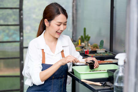 Beautiful Asian girl process of grow and plant cactus in green house in her home with happy emotion....