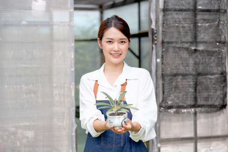 Beautiful Asian girl hold pot of plant and present to camera stand in front greenhouse workplace. Sustainable with grow cactus and other plant concept.の写真素材