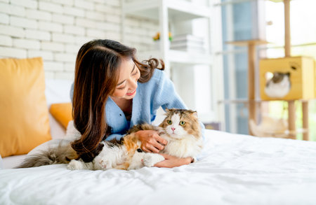 Pretty Asian woman sit on bed and cuddle her cat in bedroom with day light and other cat stay in the background.の写真素材