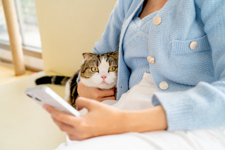 Close up lovely cat look at camera and hug and pet by owner who enjoy with mobile phone and sit on sofa.の写真素材