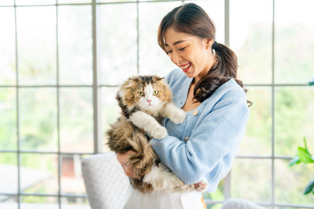 Asian woman hold and teasing fluffy cat while cat look at camera and woman look happiness to stay and enjoy with her pet.の写真素材