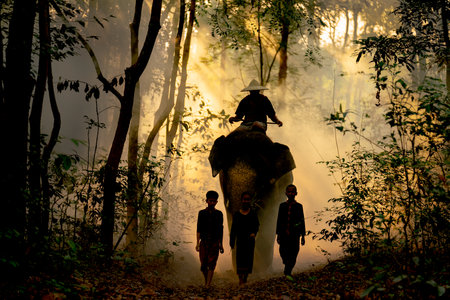 Silhouette of boy and girl walk in front of elephant and mahout with sunlight shine through tree in...