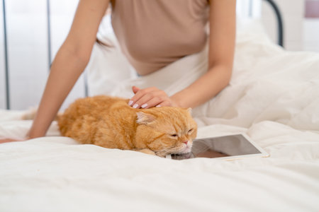 Close up orange cat lie on tablet that put on bed and cat owner also pat the cat to make it relax and happy to sleep.の写真素材