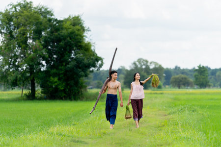 Young Asian girl and boy hold rice seedlings and plow walk together on road in rice field with big tree on the background.の写真素材