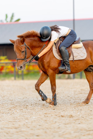 Vertical image of teen girl on the horse and bend down to make horse to relax before train or practice in the arena.の写真素材