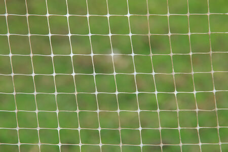 Mesh backgroundの写真素材