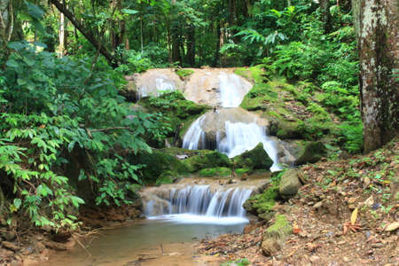 Waterfall in the forestの写真素材