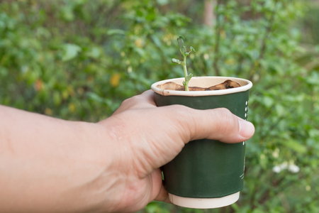 hand holding coffice recycle with sapling , save worldの写真素材