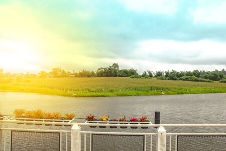 Morning sun Shining from the tip of the treeの写真素材