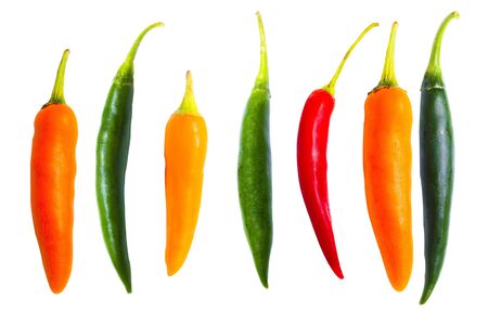 Fresh chilli
Multi color
White backgroundの写真素材