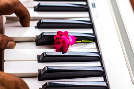 Love songs Piano with pink flowersの写真素材