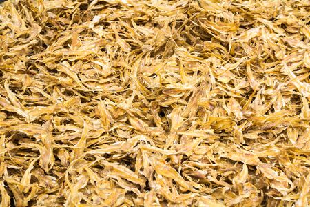 Dried fish is a traditional food of Thailand.の写真素材