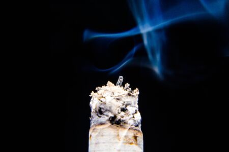 Cigarettes with smoked quailの写真素材