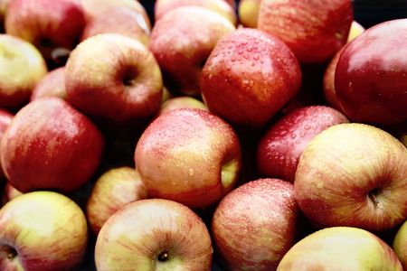 Apples red and yellowの写真素材