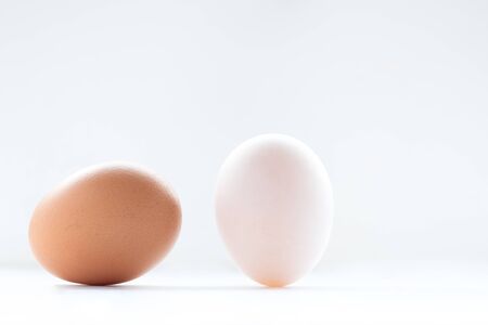 brown and white eggs on white background
