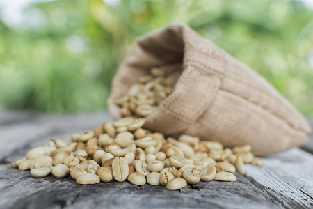 Raw coffee beans on green blurred background. Focus coffee beans frontの写真素材