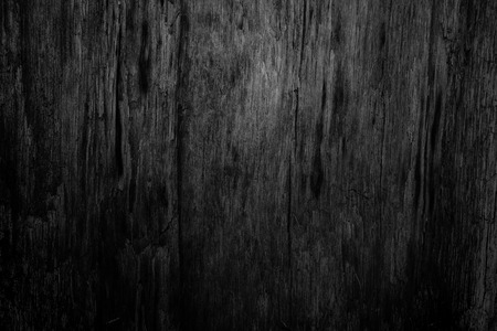 Black backgroundsの写真素材