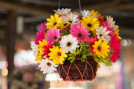 Fake flowersの写真素材