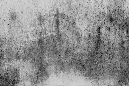 Wall texture used as background. black and white for design