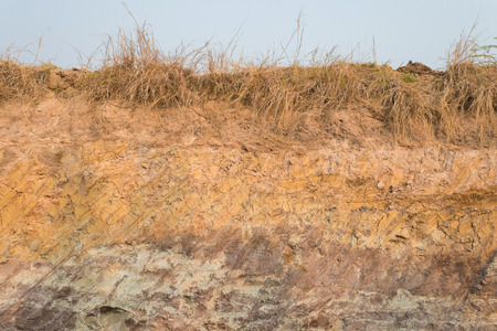 soil section