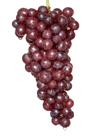 red grape with drop of water isolated on white backgroundの写真素材
