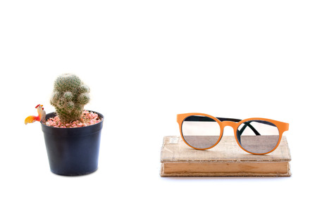 cactus, book grunge paper with orange glasses isolated on white backgroundの写真素材