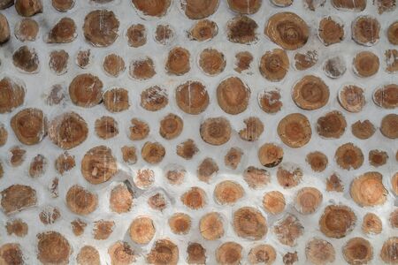 wood texture background. Blank for designの写真素材